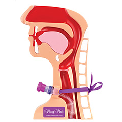 tracheostomy tom Tracheostomy Observation Model